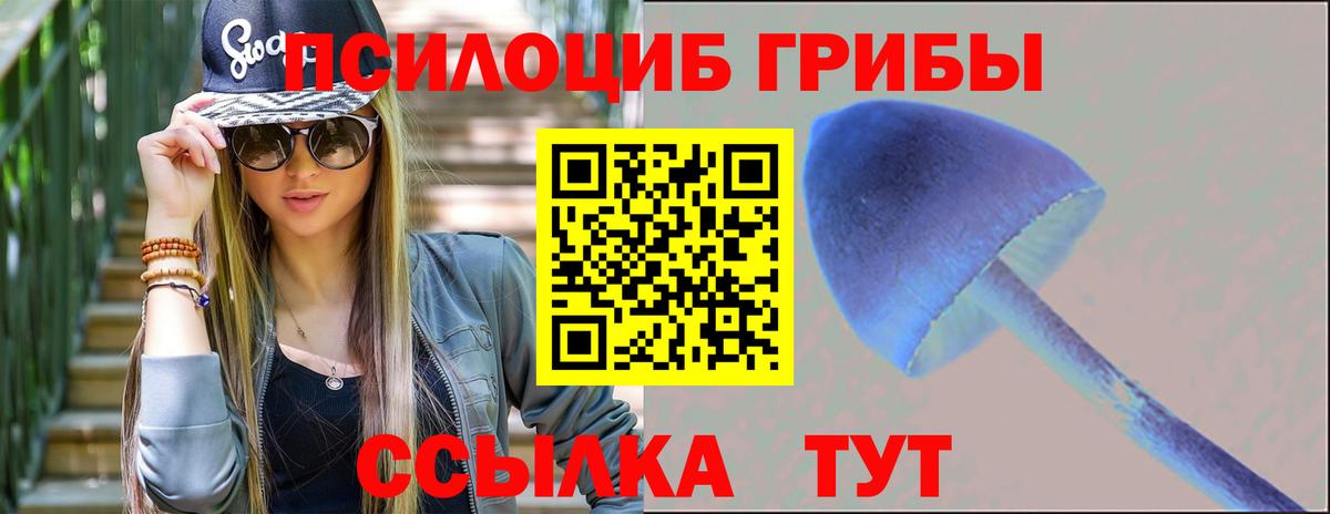 Тулун  Псилоцибиновые грибы мухоморы  Вход с VPN  Псилоцибиновые грибы MAGIC MUSHROOMS 